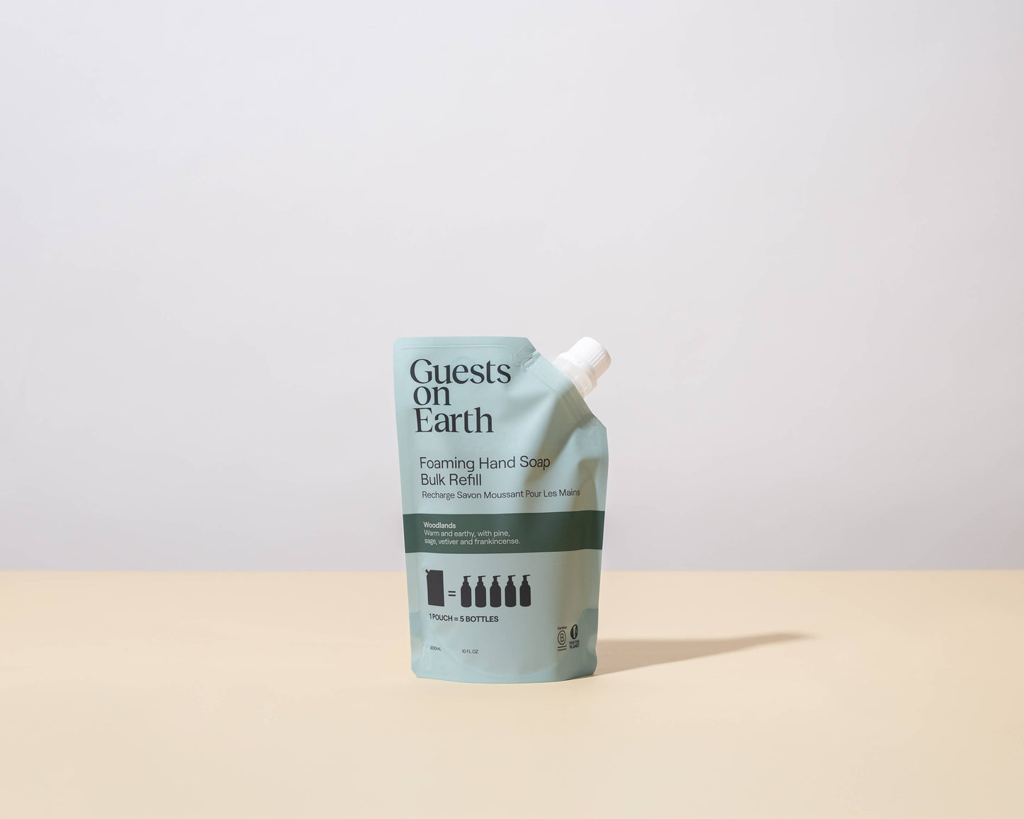 Guests on Earth | Citrus Oasis Foaming Hand Soap Bulk Refill