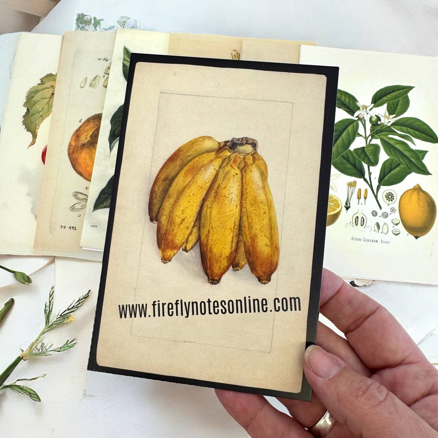 Botanical Recipe Card Set | 12 Cards + Banana Bread Recipe