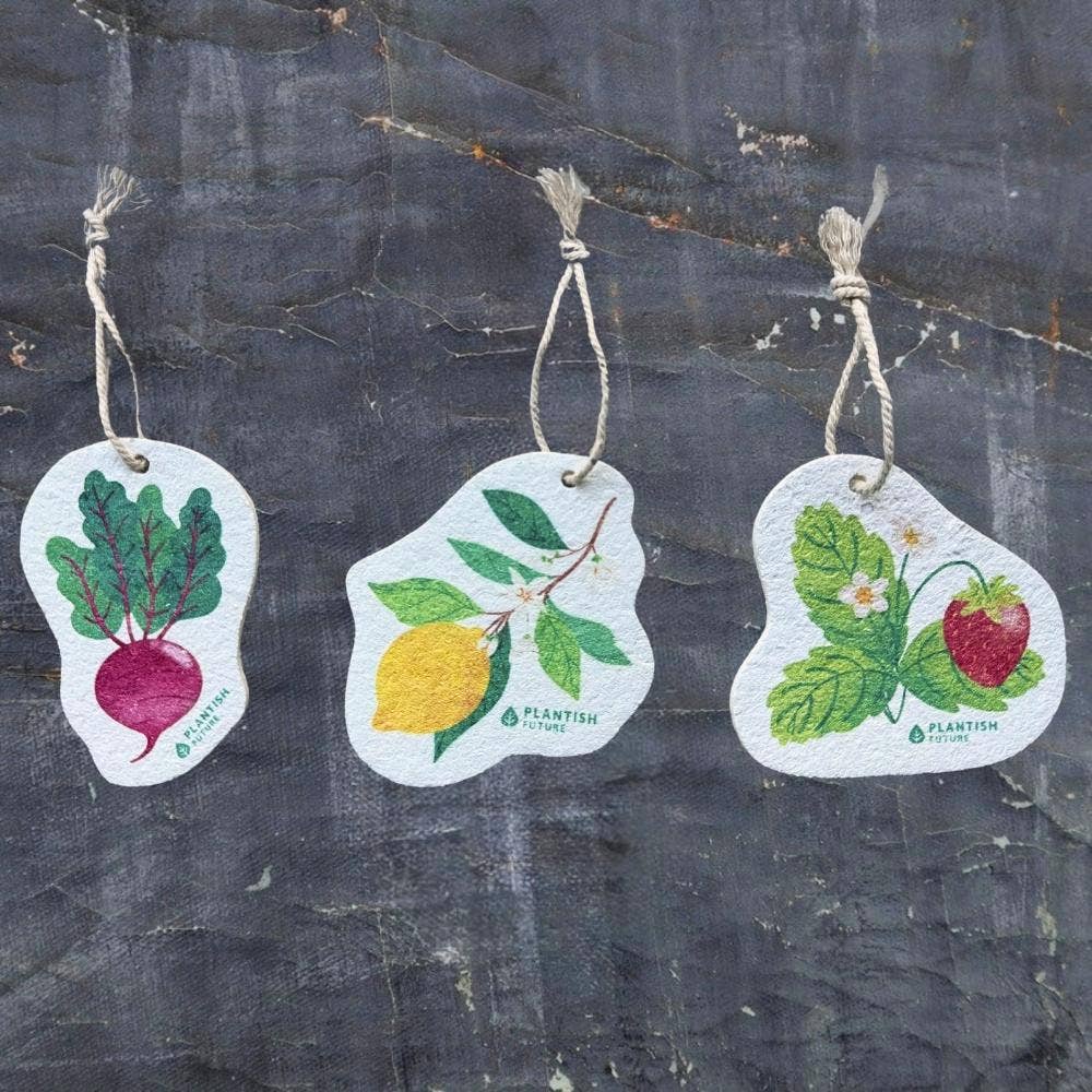 Strawberry Patch | Pop-Up Sponge