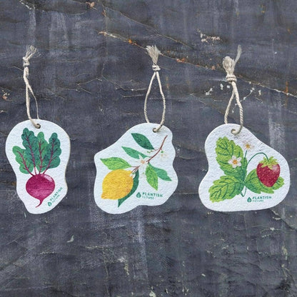 Strawberry Patch | Pop-Up Sponge