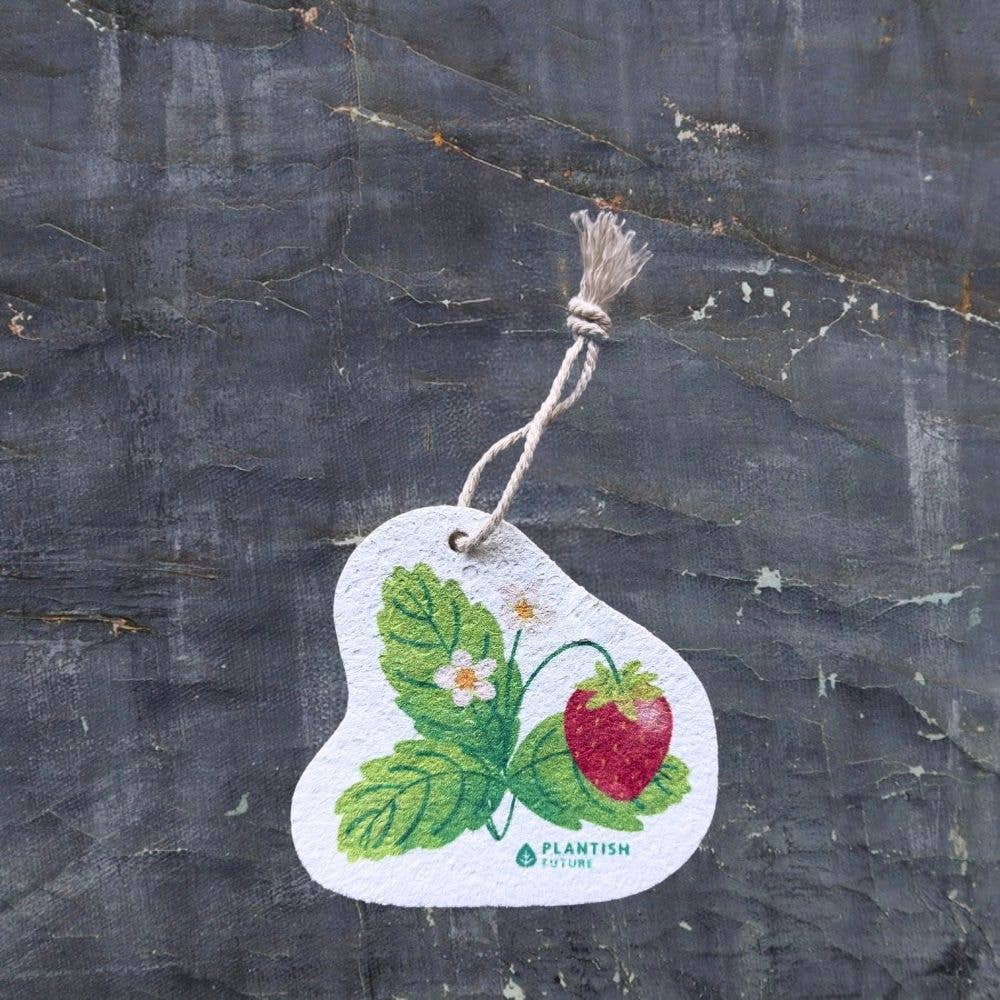 Strawberry Patch | Pop-Up Sponge