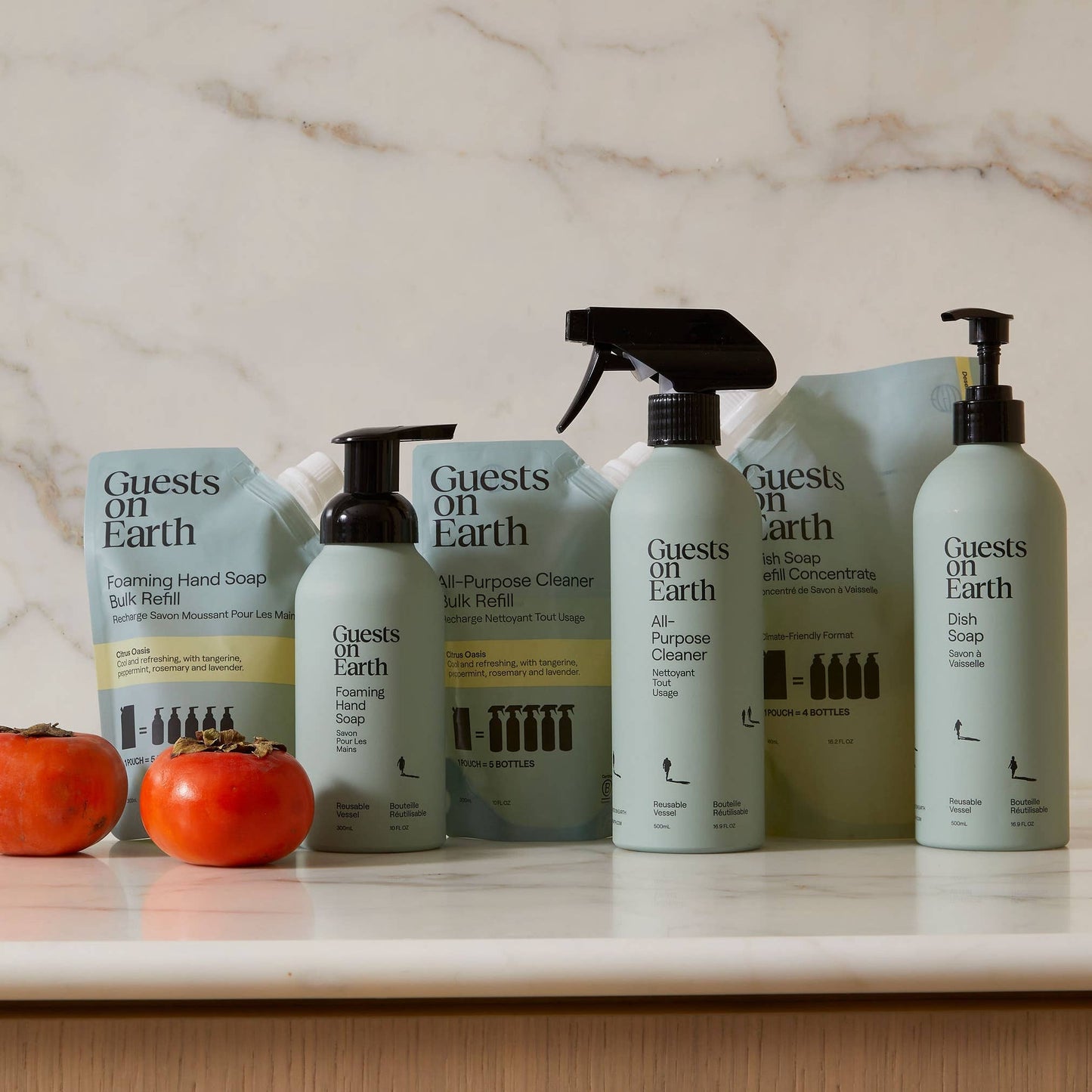 Guests on Earth | Citrus Oasis Dish Soap Bulk Refill