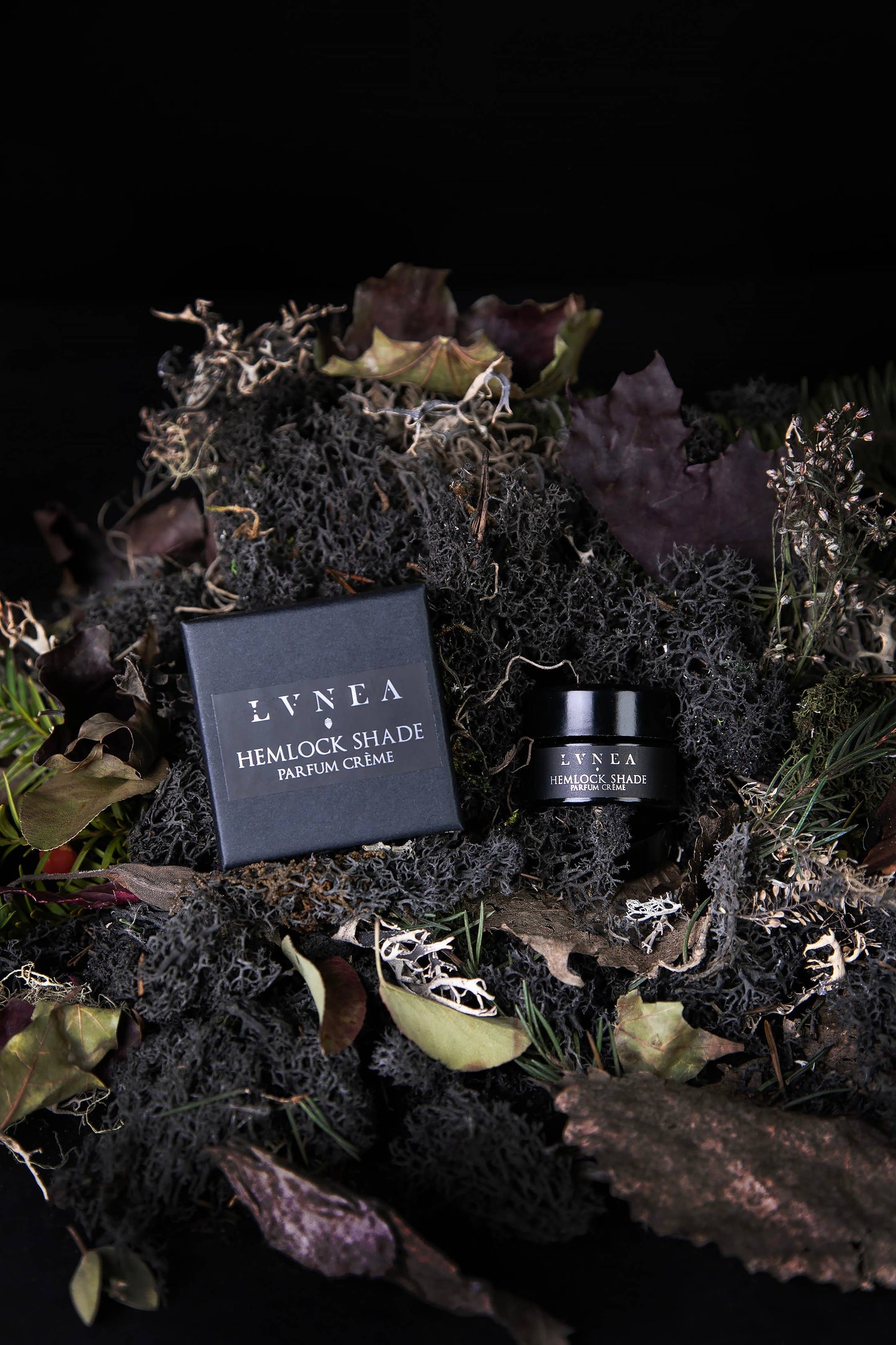 HEMLOCK SHADE | Solid Perfume - Hemlock, Black Spruce, Vetiver