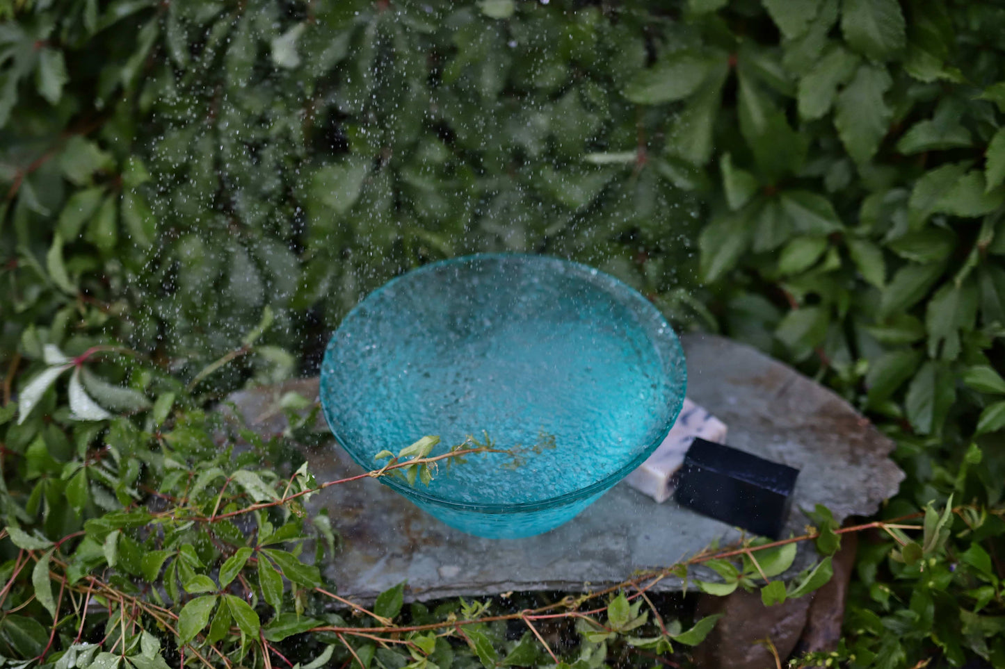 Raven Activated Charcoal Soap | Lemongrass