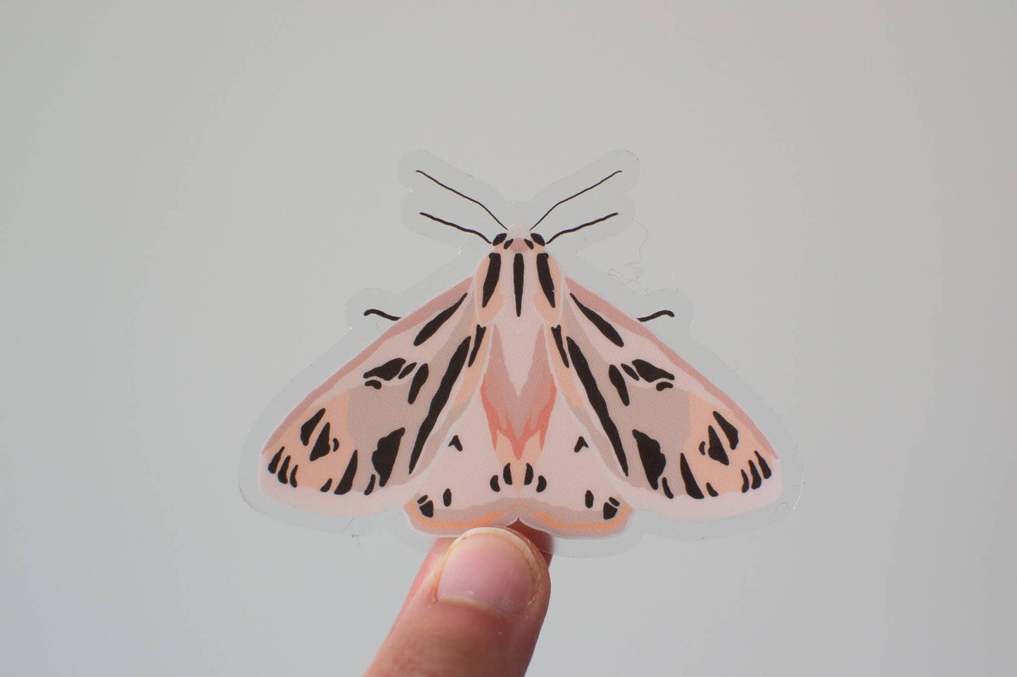 Pink Tiger Moth Sticker | Bug Lover Waterproof Vinyl Sticker