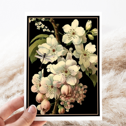 Dramatic Cherry Blossoms Card