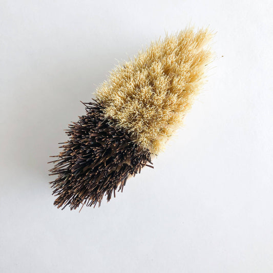 Bamboo Vegetable Brush - Sisal & Palm Bristles: Oval Brush