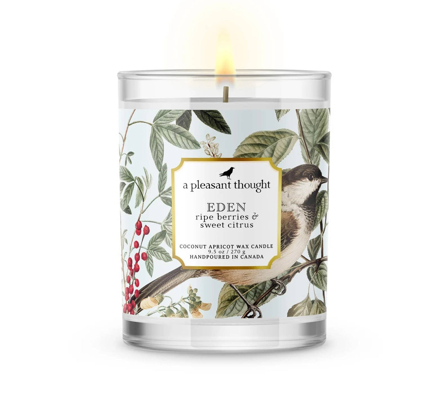Eden | Ripe Berries & Sweet Citrus Candle