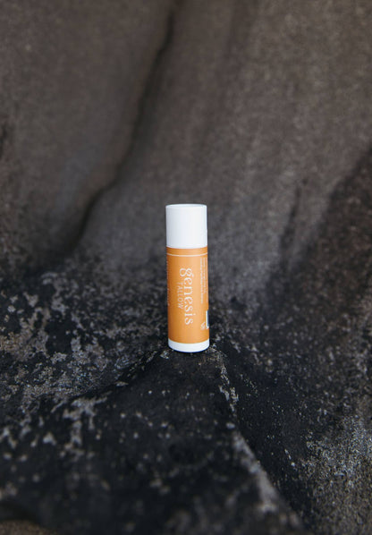 Citrus Cloud Tallow Lip Balm | Orange Vanilla