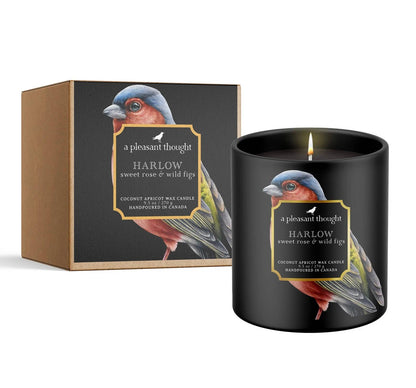 Harlow | Sweet Rose + Wild Figs