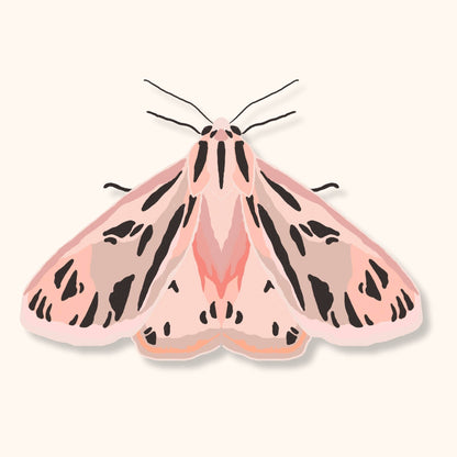 Pink Tiger Moth Sticker | Bug Lover Waterproof Vinyl Sticker