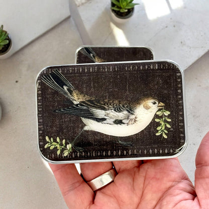 Large Birdsong Notions Tin