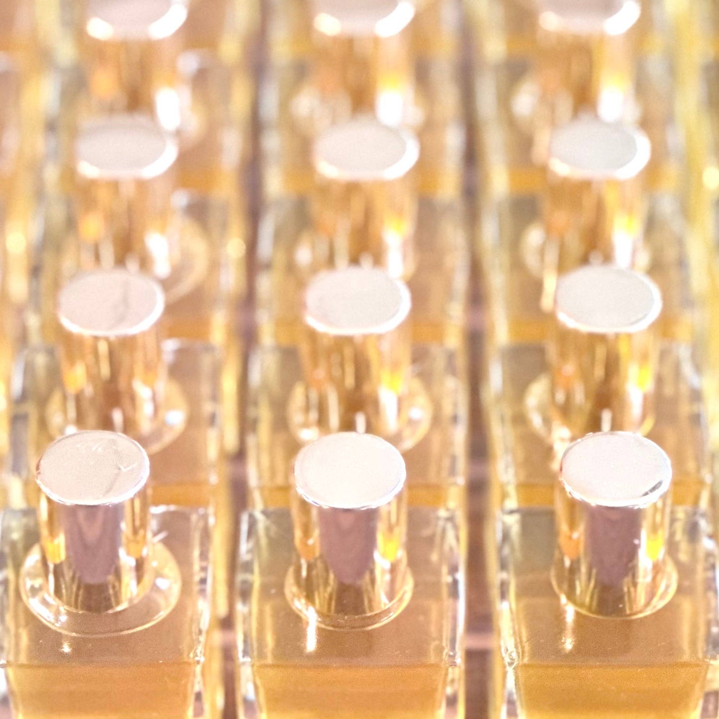 Paradise Perfume Oil