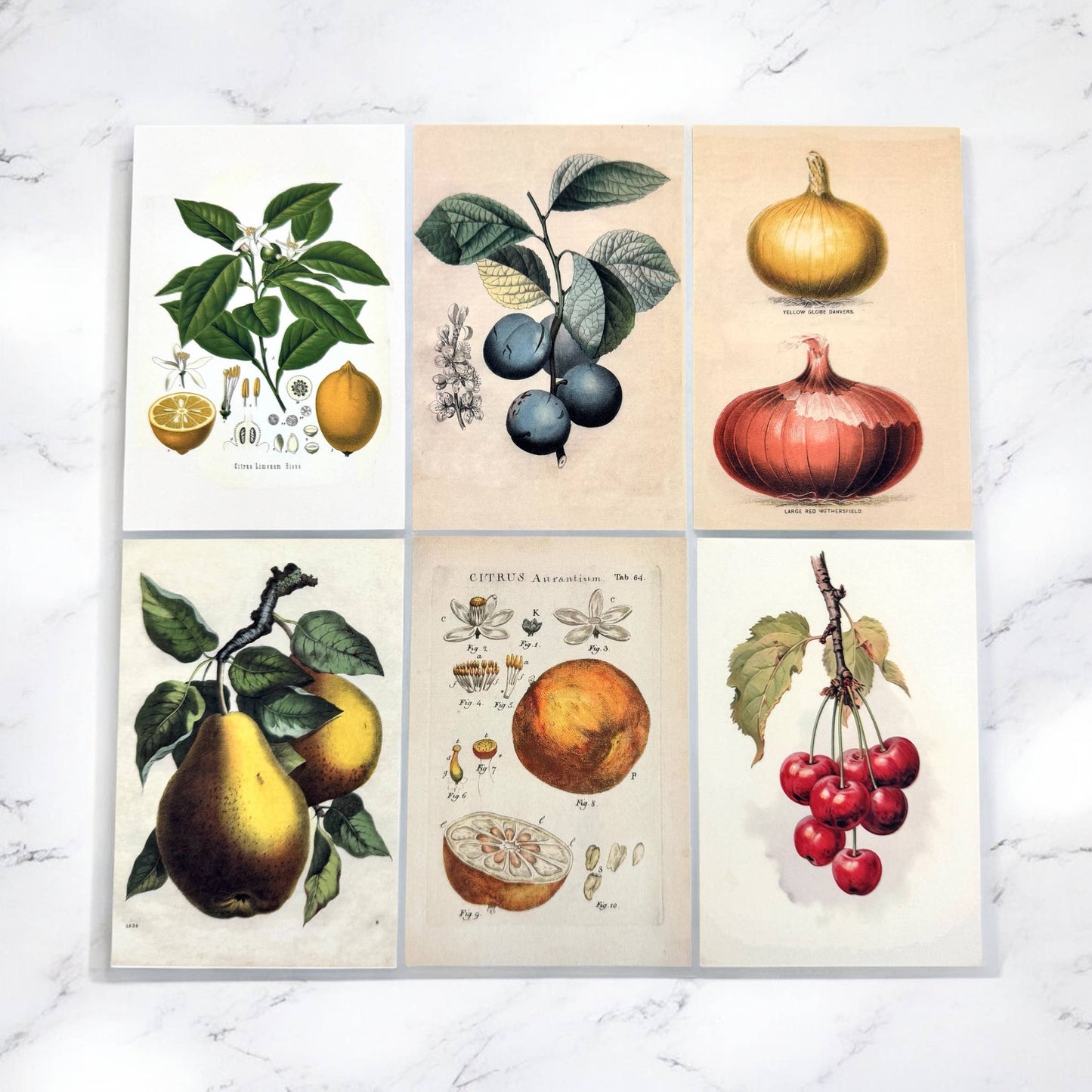 Botanical Recipe Card Set | 12 Cards + Banana Bread Recipe