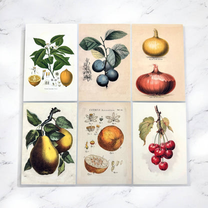 Botanical Recipe Card Set | 12 Cards + Banana Bread Recipe