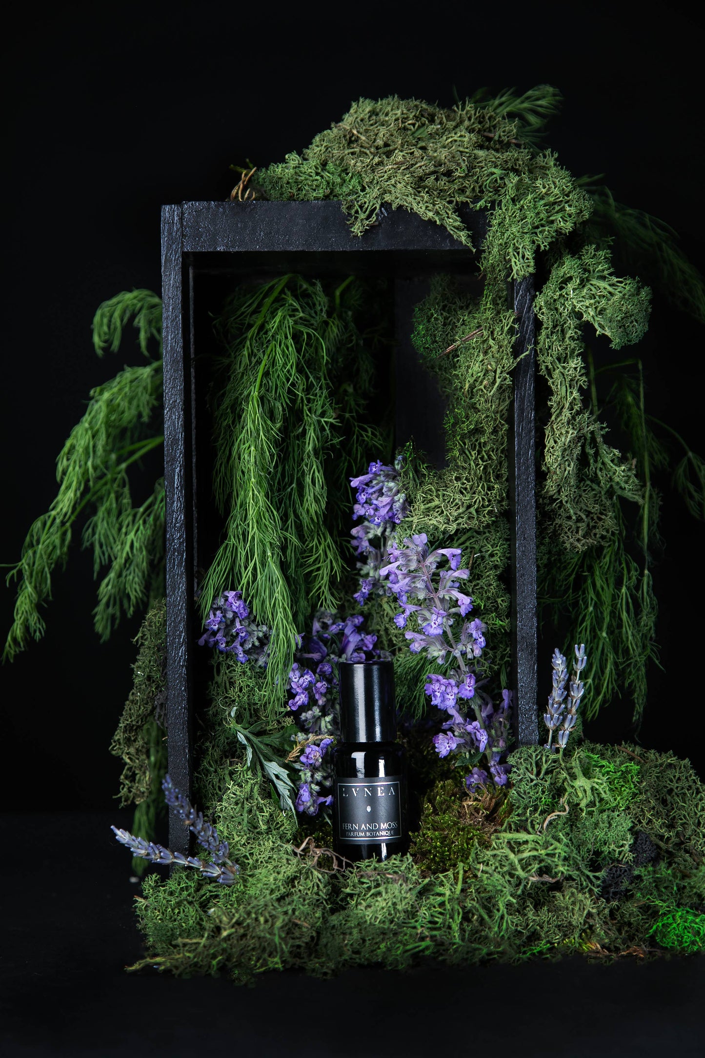 FERN AND MOSS | Parfum Botanique