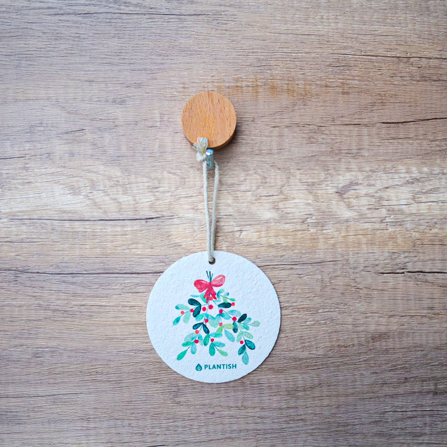 Mistletoe - Pop up Sponge