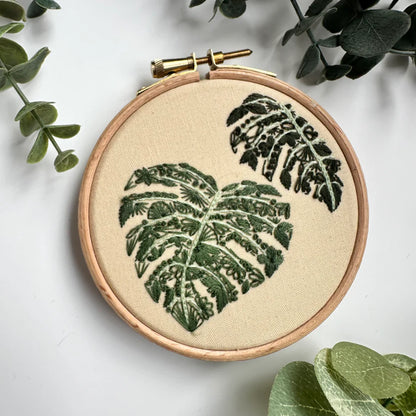 Mighty Monstera Mini Kit