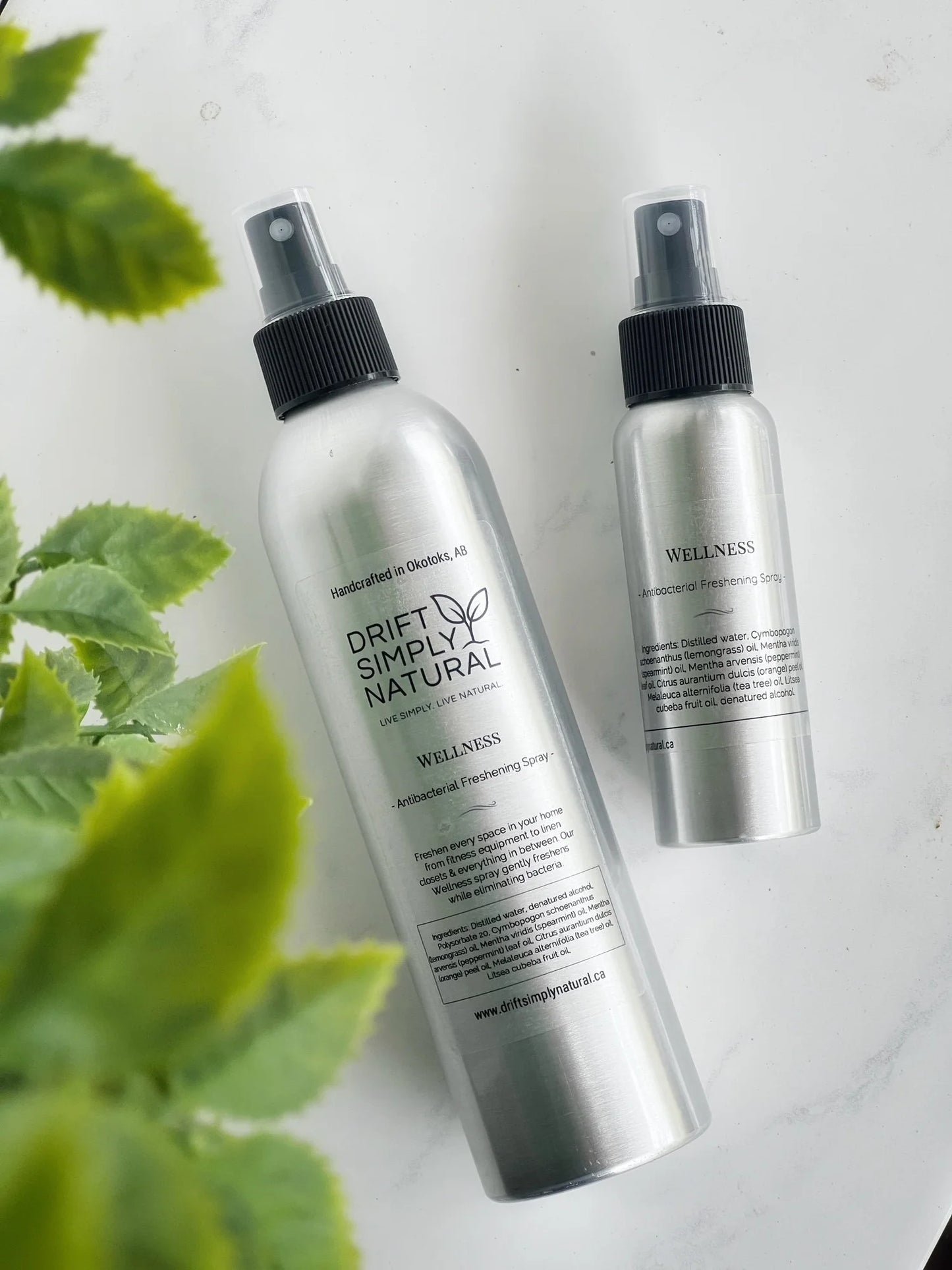 Wellness Antibacterial Spray | 250ml
