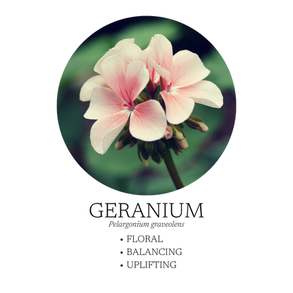 Spa Essential Oil Blend