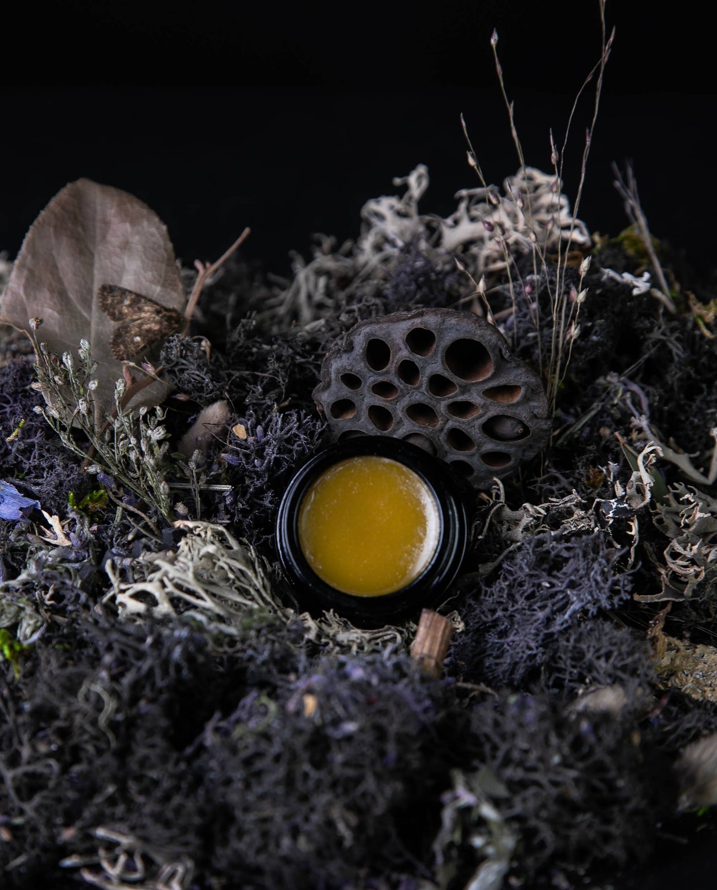 MOON MOSS | Solid Perfume - Lavender, Patchouli, Oakmoss
