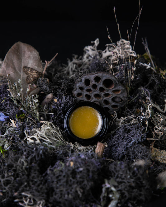 MOON MOSS | Solid Perfume - Lavender, Patchouli, Oakmoss