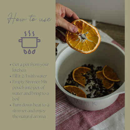 Holiday | Be Celebrated Simmer Pot Mix, Stovetop Potpourri