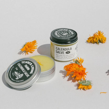 Calendula Salve