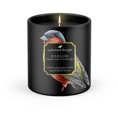 Harlow | Sweet Rose + Wild Figs
