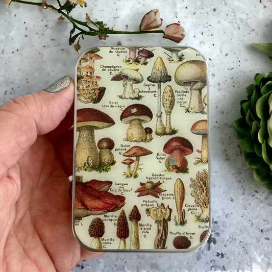 Large Mushroom Notion Storage Tin