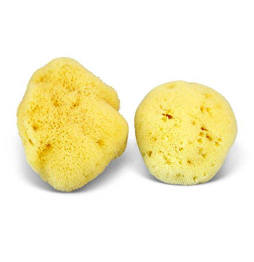 Natural Sea Sponge - Plastic Free Organic Sea Sponge: Honeycomb Sponge