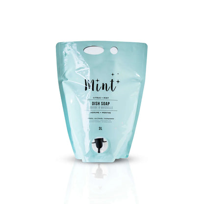 Mint Cleaning | Dish Soap - Party Pouch