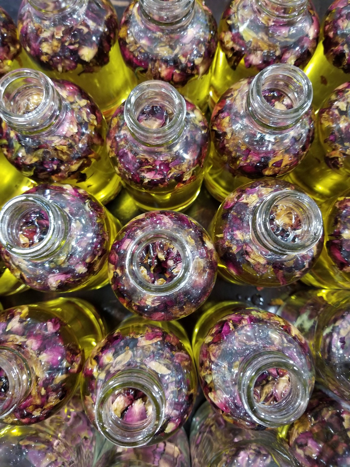 Wild Rose | Nourishing Natural Body + Bath Oil