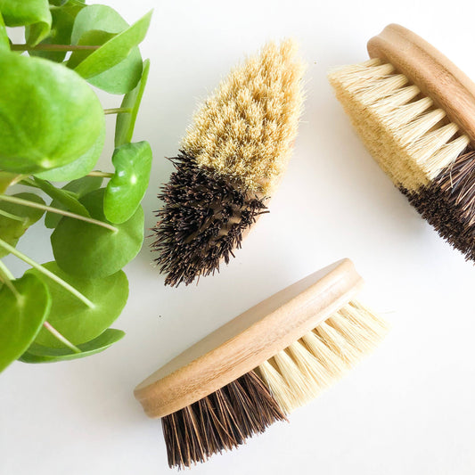 Bamboo Vegetable Brush - Sisal & Palm Bristles: Oval Brush