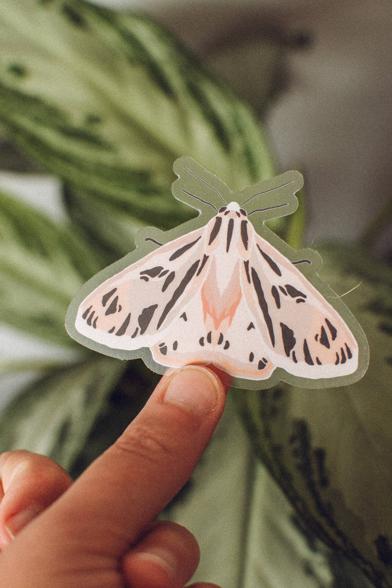 Pink Tiger Moth Sticker | Bug Lover Waterproof Vinyl Sticker
