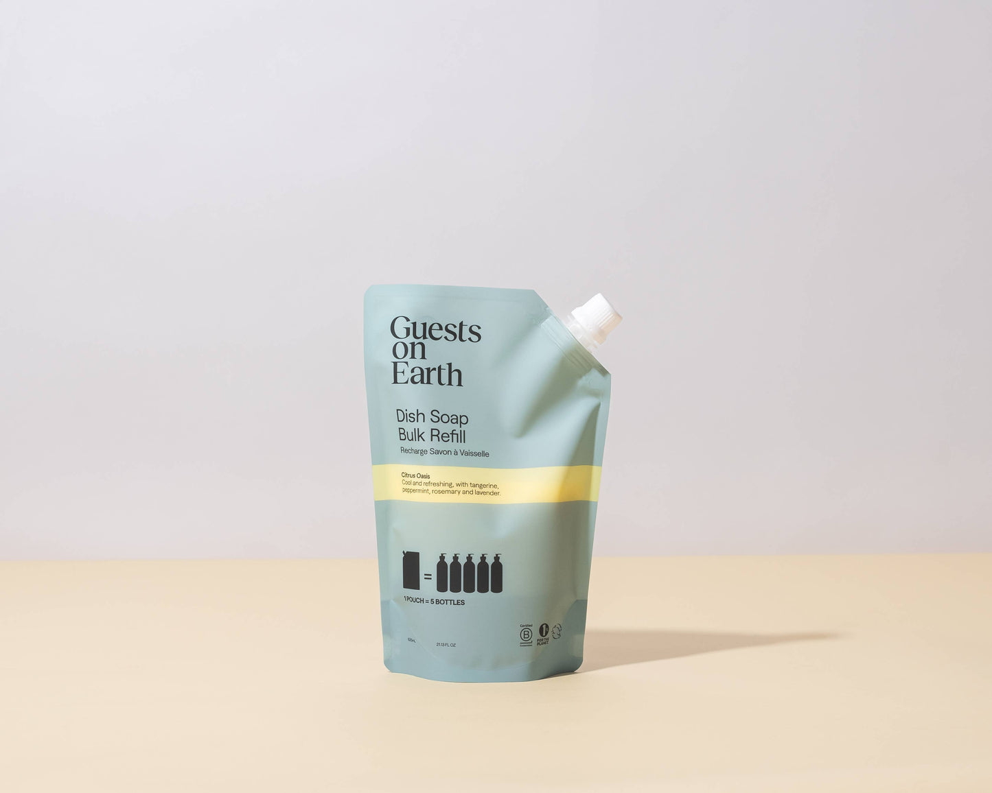 Guests on Earth | Citrus Oasis Dish Soap Bulk Refill