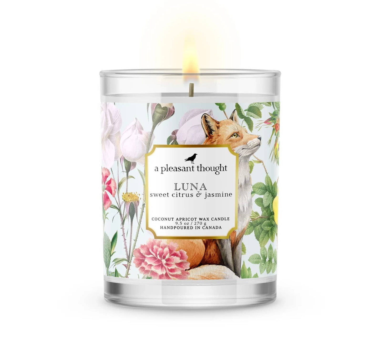 Luna | Sweet Citrus & Jasmine