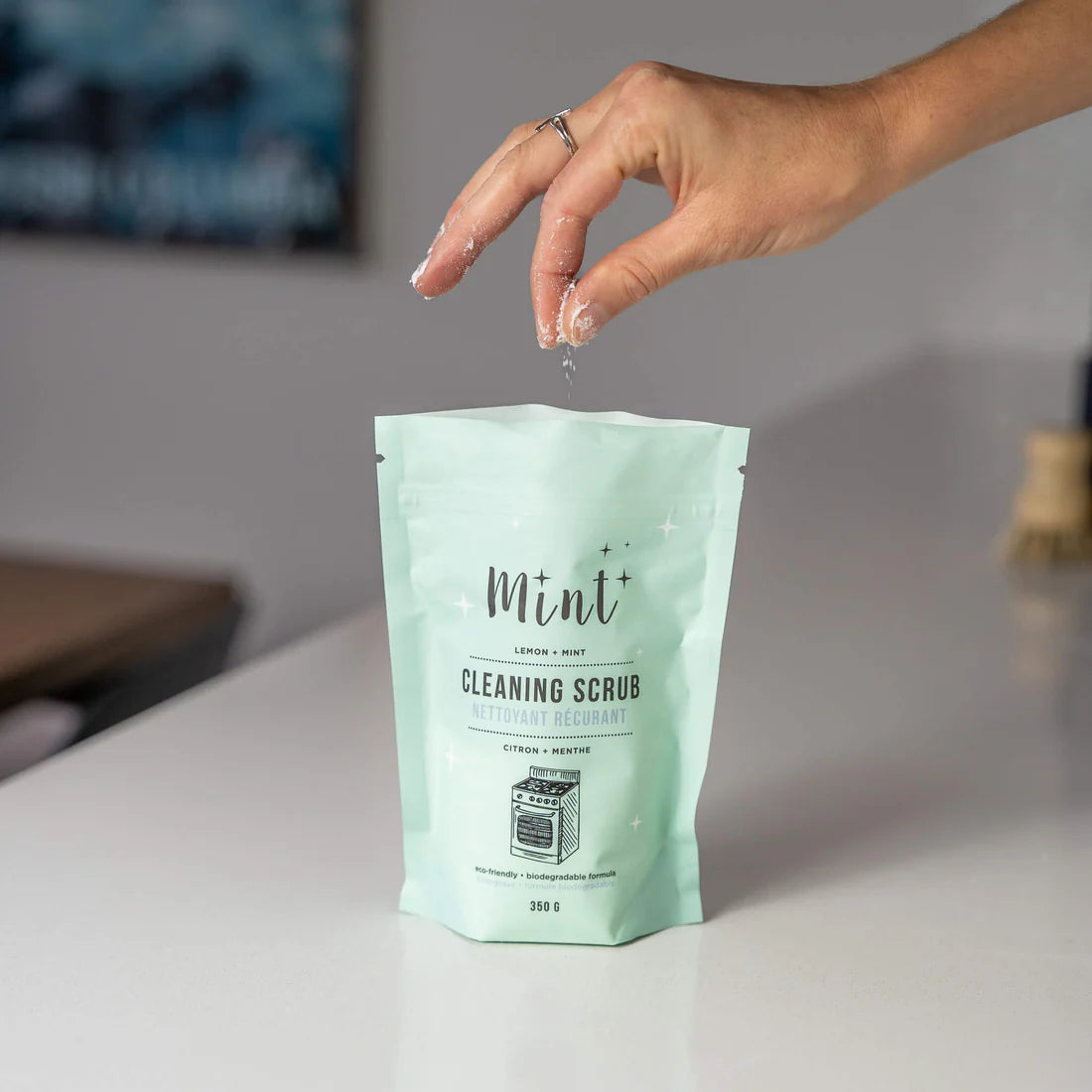 Mint Cleaning | Cleaning Scrub - 350g Bag