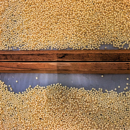 Fregola