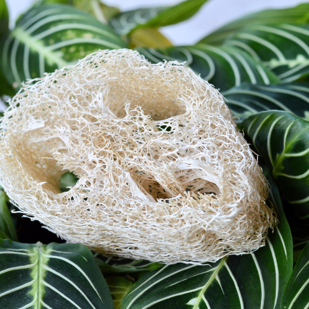 Natural Loofah Sponge Set