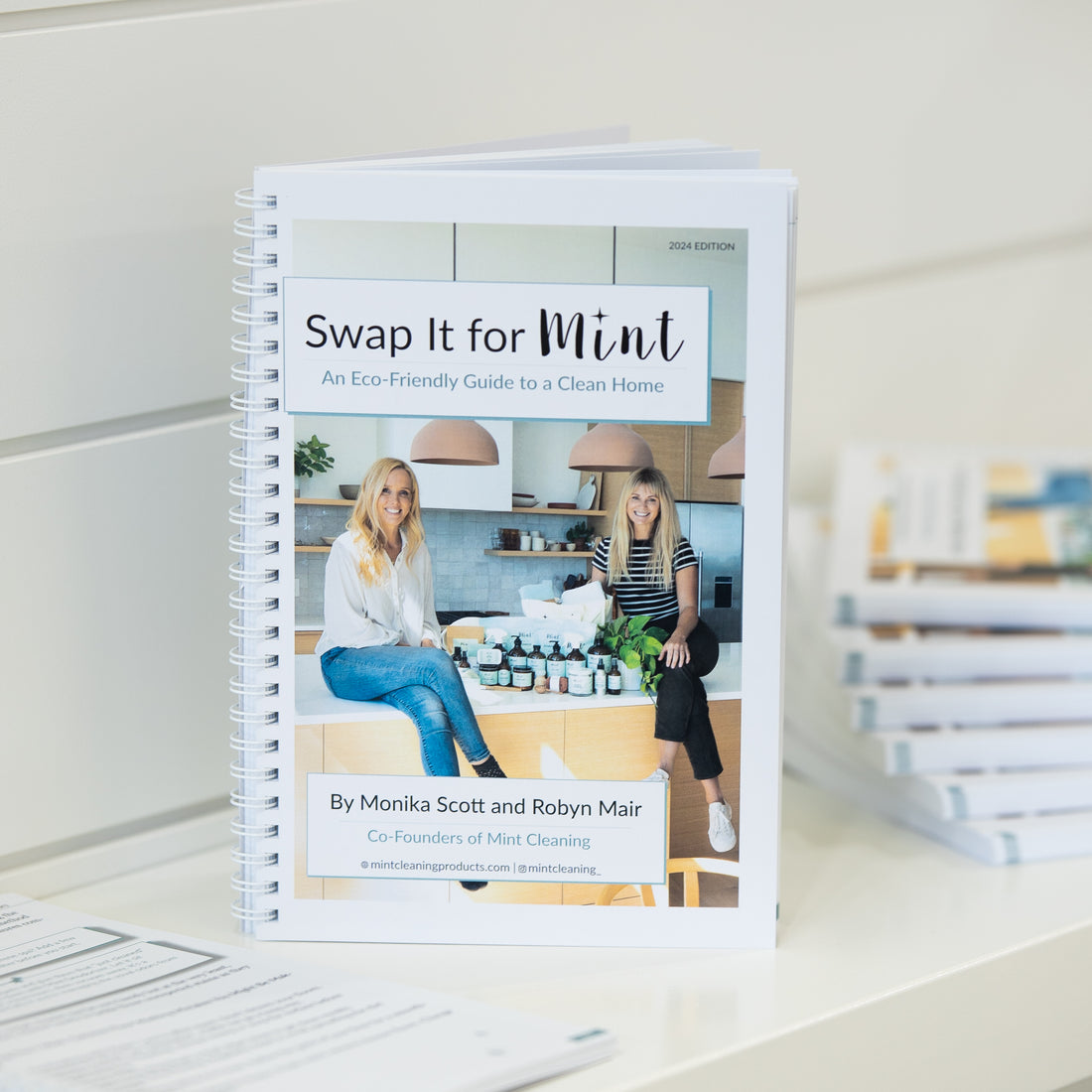 Mint Cleaning Swap It Guide Book